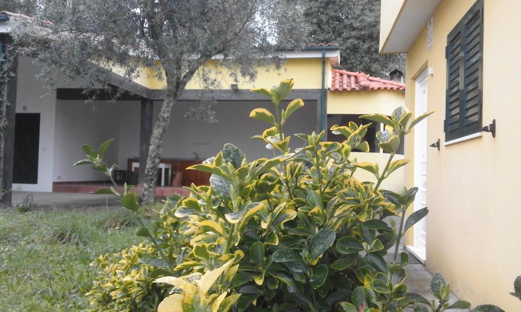 Casa Amarante Porto Villa Екстериор снимка